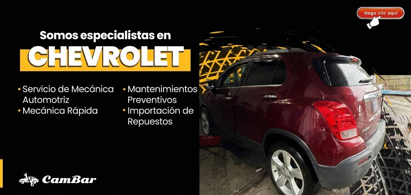 Contactar por WhatsApp